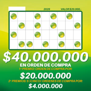 Binguito 2026 - Solo Digital